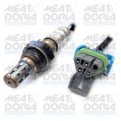 Oxygen Sensor